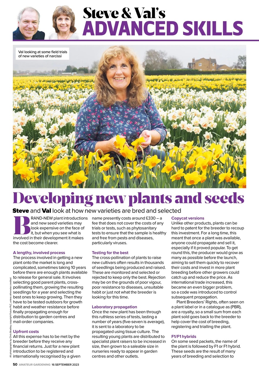 Amateur Gardening Preview Pages