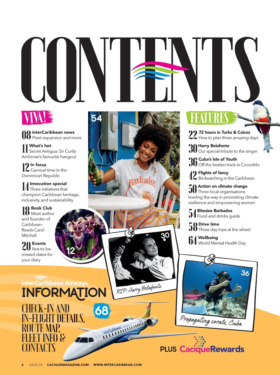 CACIQUE Preview Pages