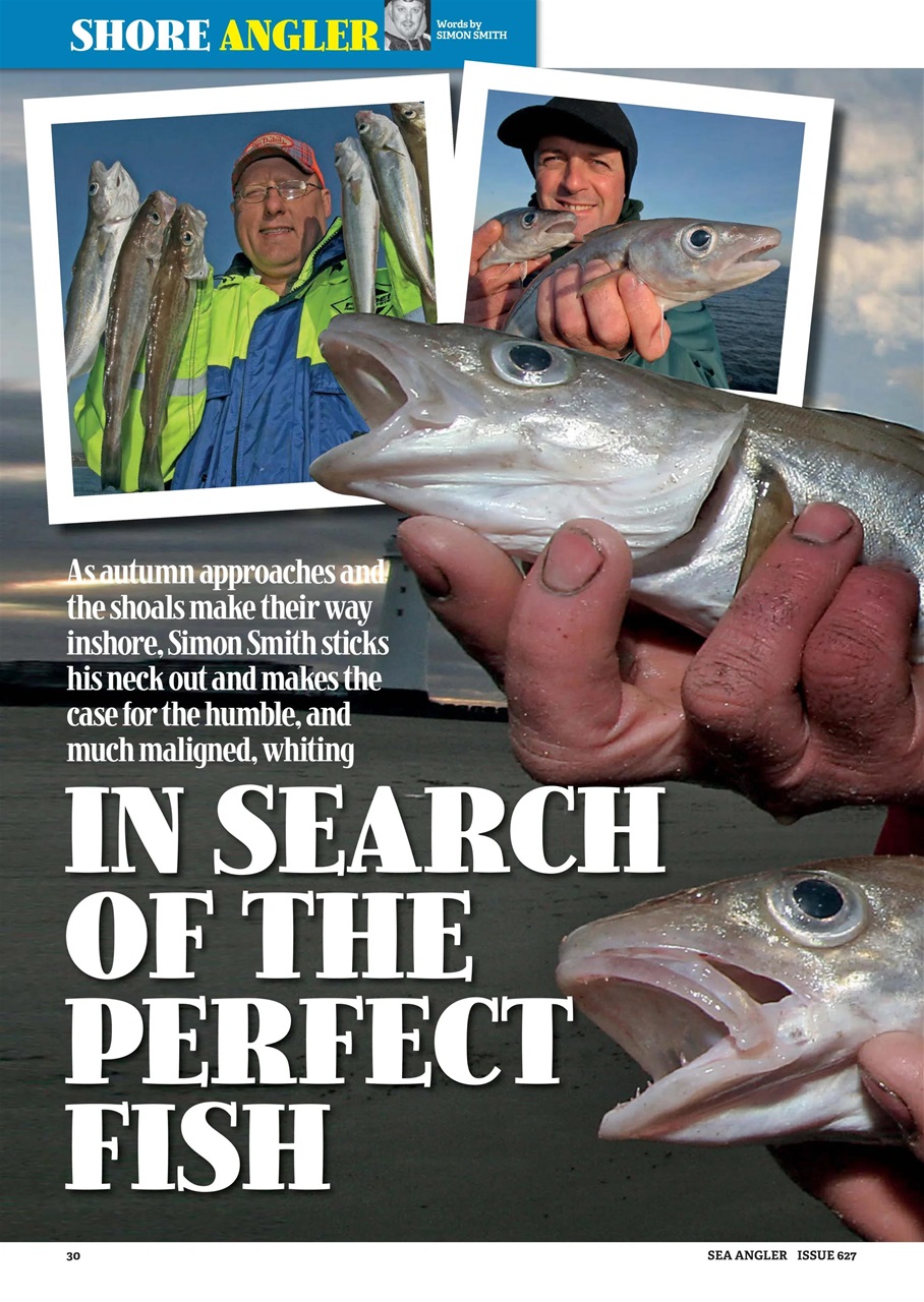Sea Angler Preview Pages