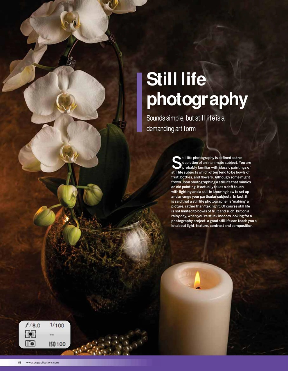 Digital Camera User Preview Pages