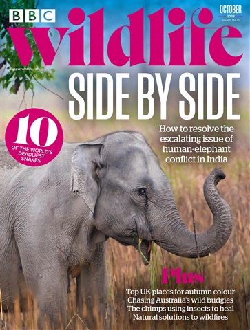 BBC Wildlife Magazine issue October 2023
