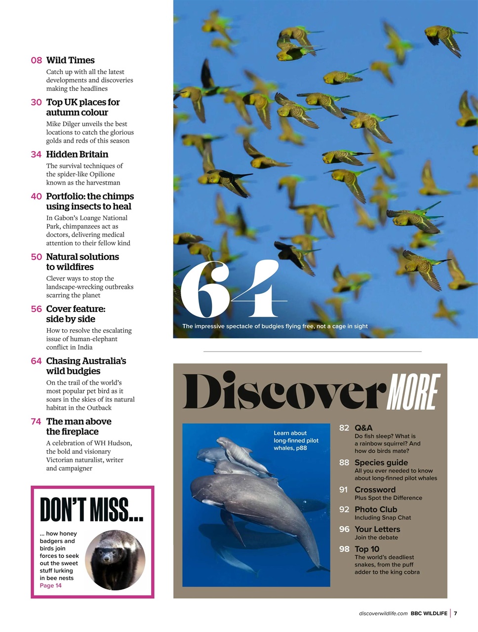 BBC Wildlife Magazine Preview Pages