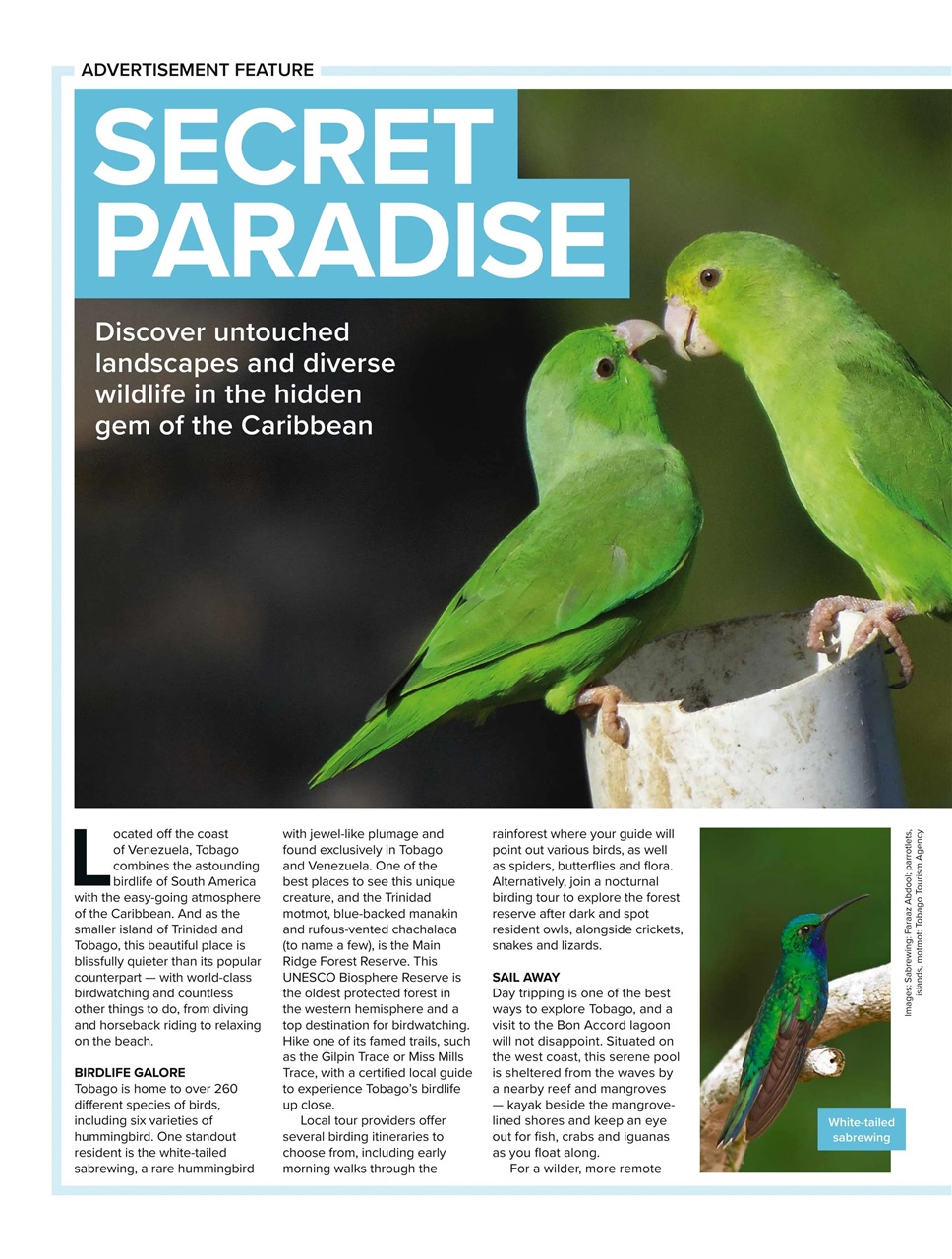 BBC Wildlife Magazine Preview Pages