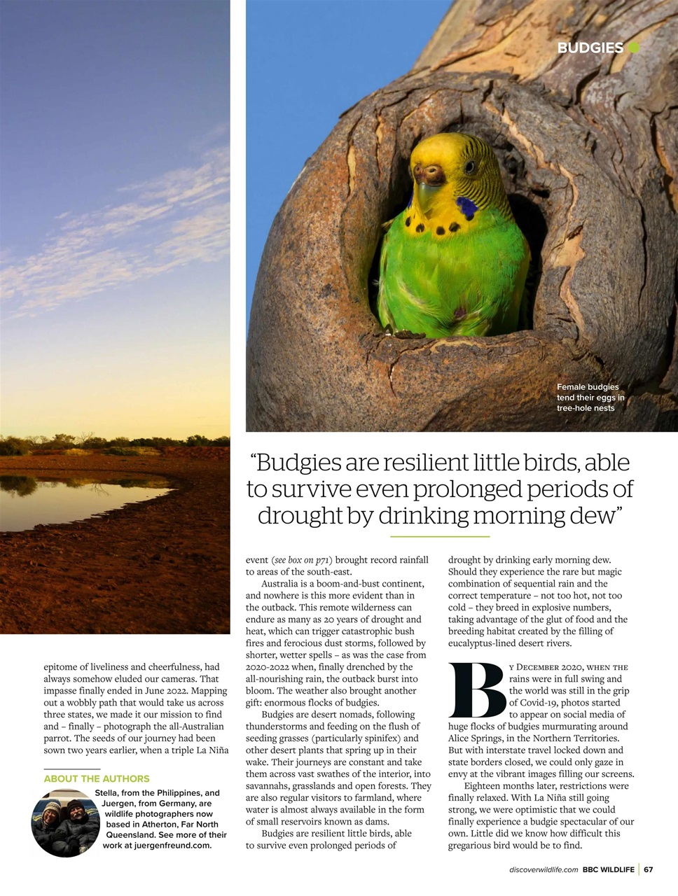 BBC Wildlife Magazine Preview Pages