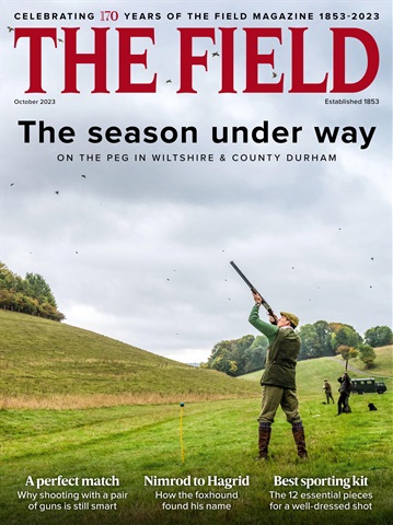 The Field issue October 2023
