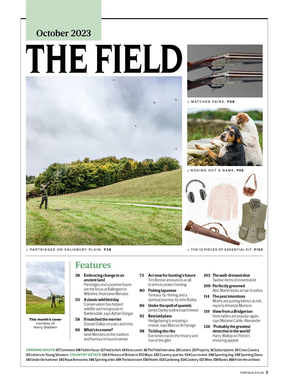 The Field Preview Pages