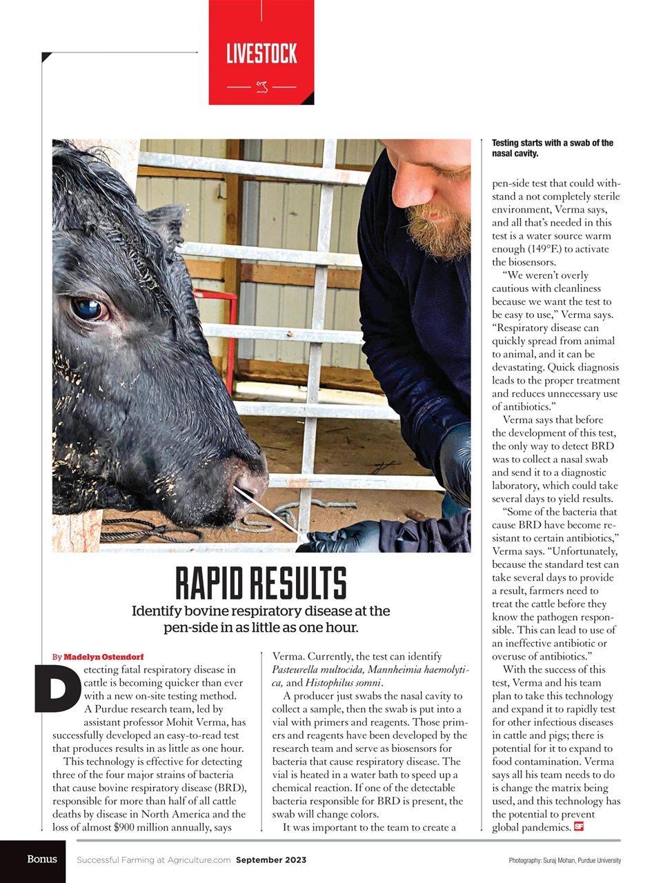 Successful Farming Preview Pages