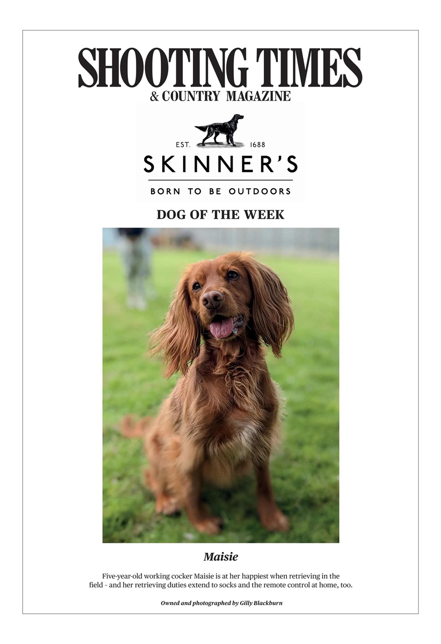 Shooting Times & Country Preview Pages