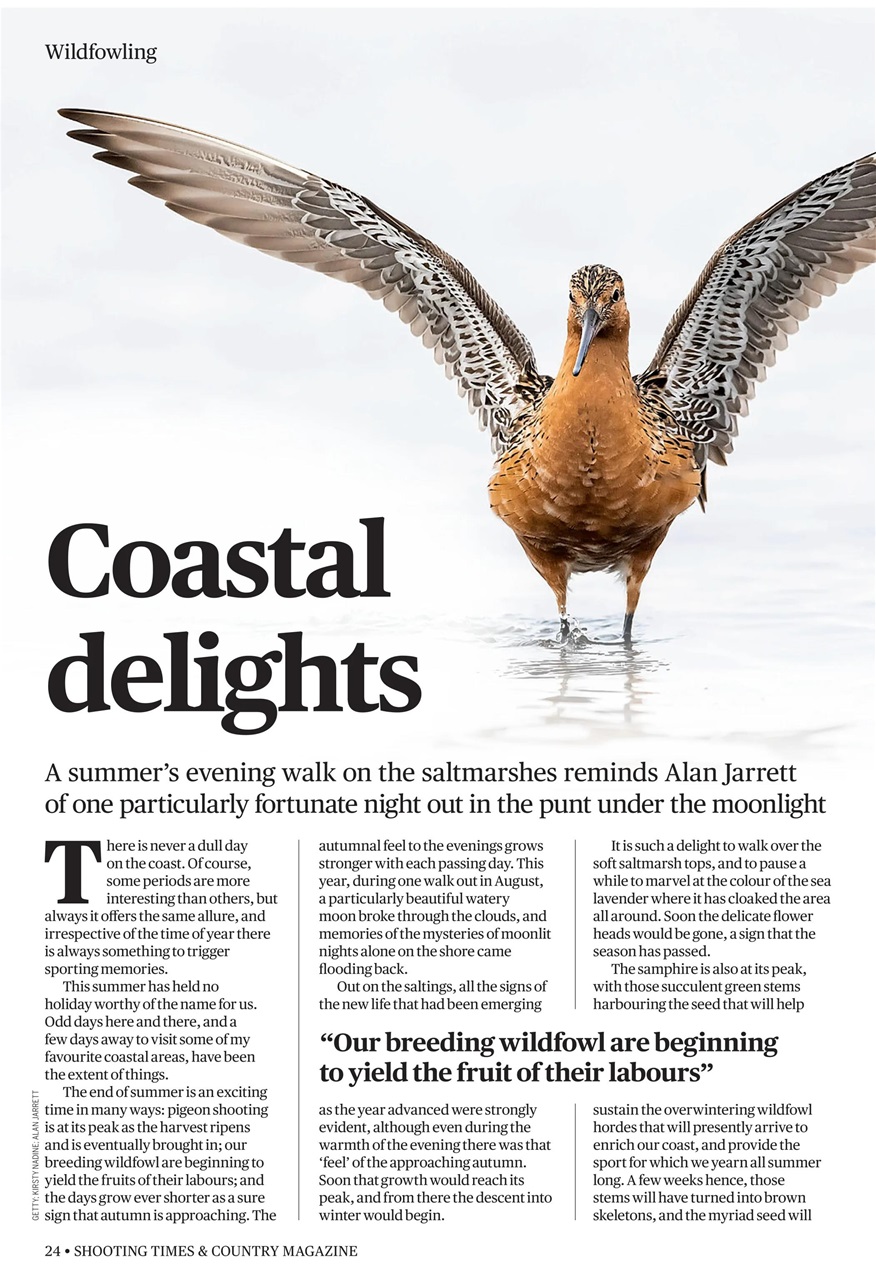 Shooting Times & Country Preview Pages