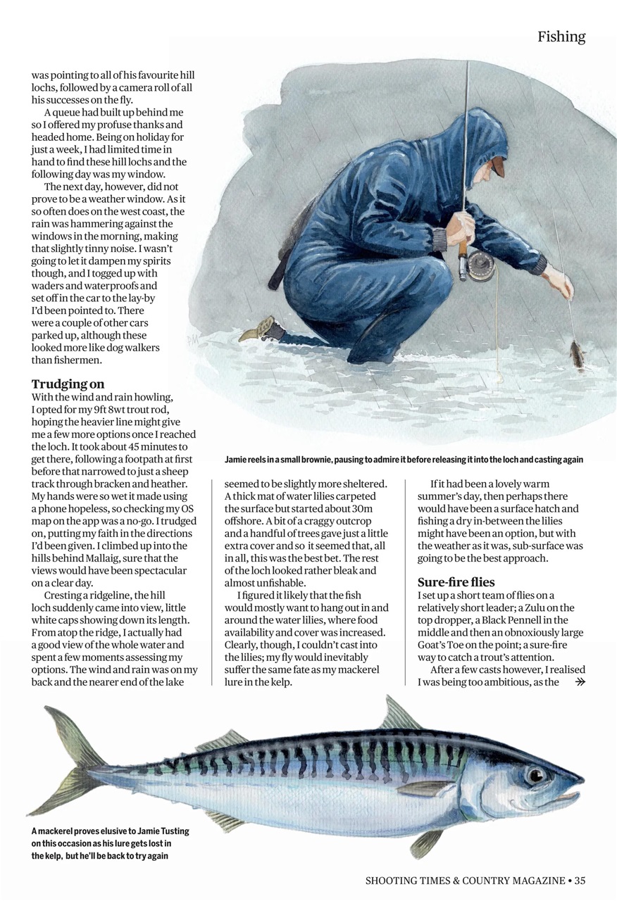 Shooting Times & Country Preview Pages