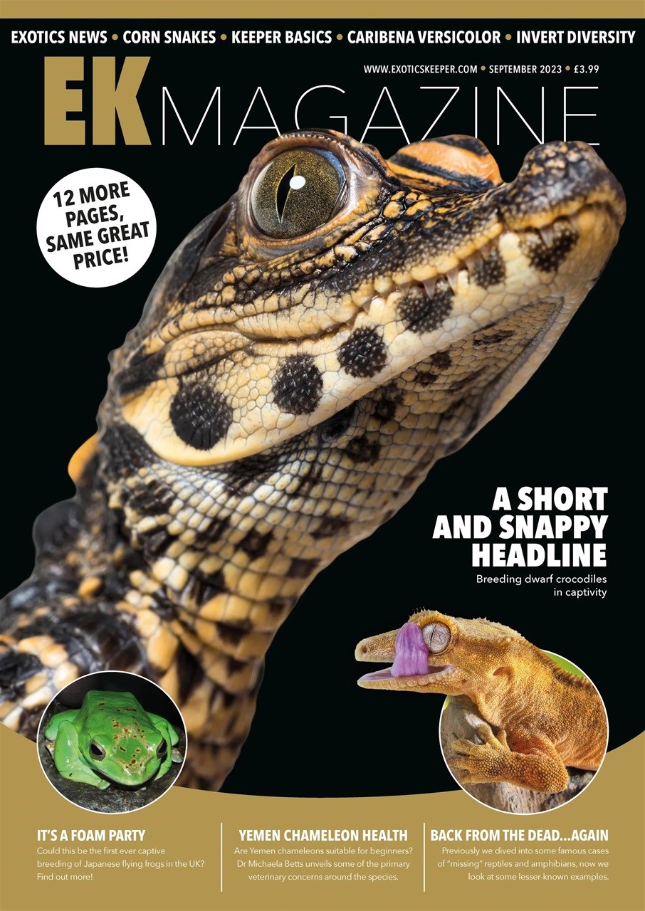 Exotics Keeper Preview Pages