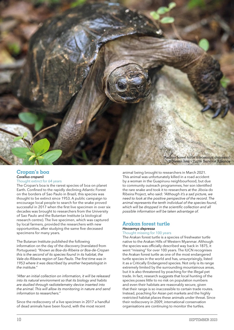 Exotics Keeper Preview Pages