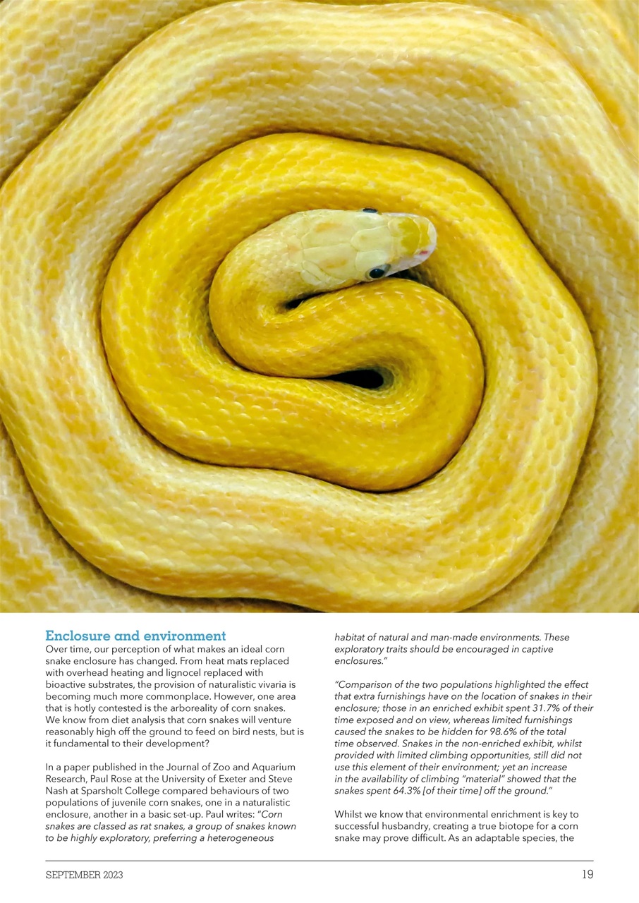 Exotics Keeper Preview Pages