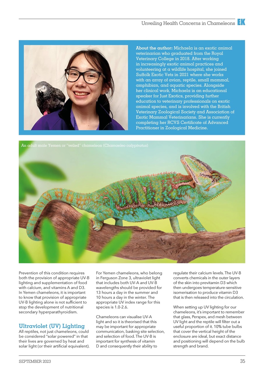 Exotics Keeper Preview Pages