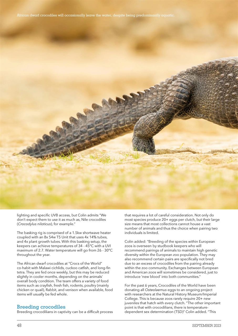 Exotics Keeper Preview Pages