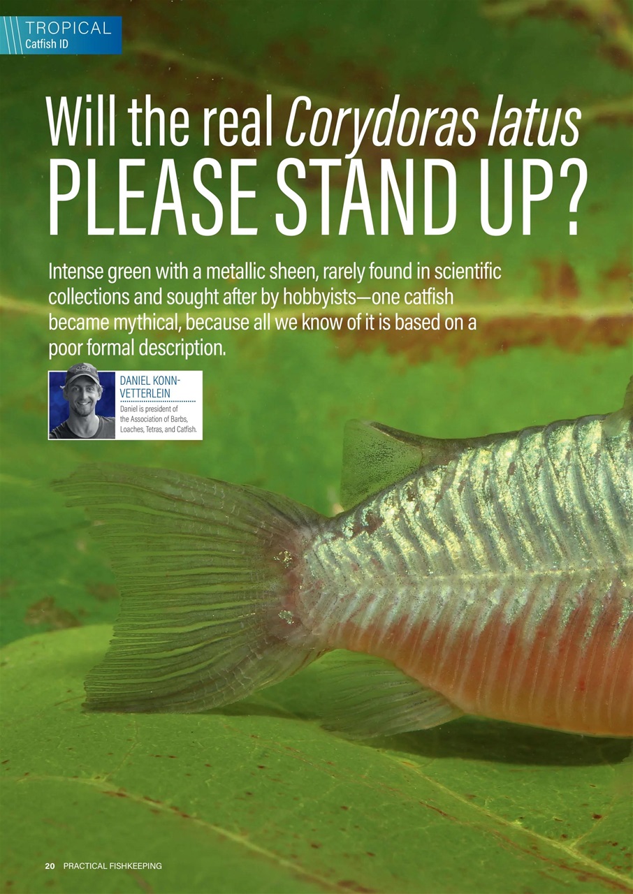 Practical Fishkeeping Preview Pages