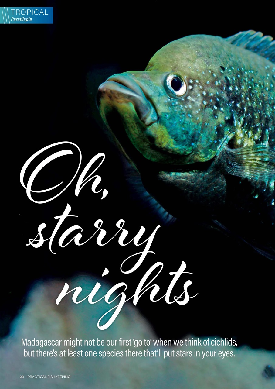 Practical Fishkeeping Preview Pages