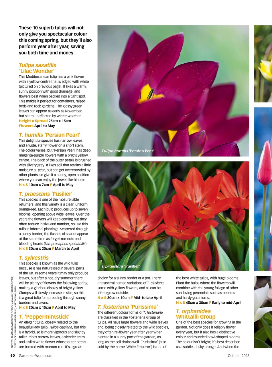 BBC Gardeners’ World Magazine Preview Pages