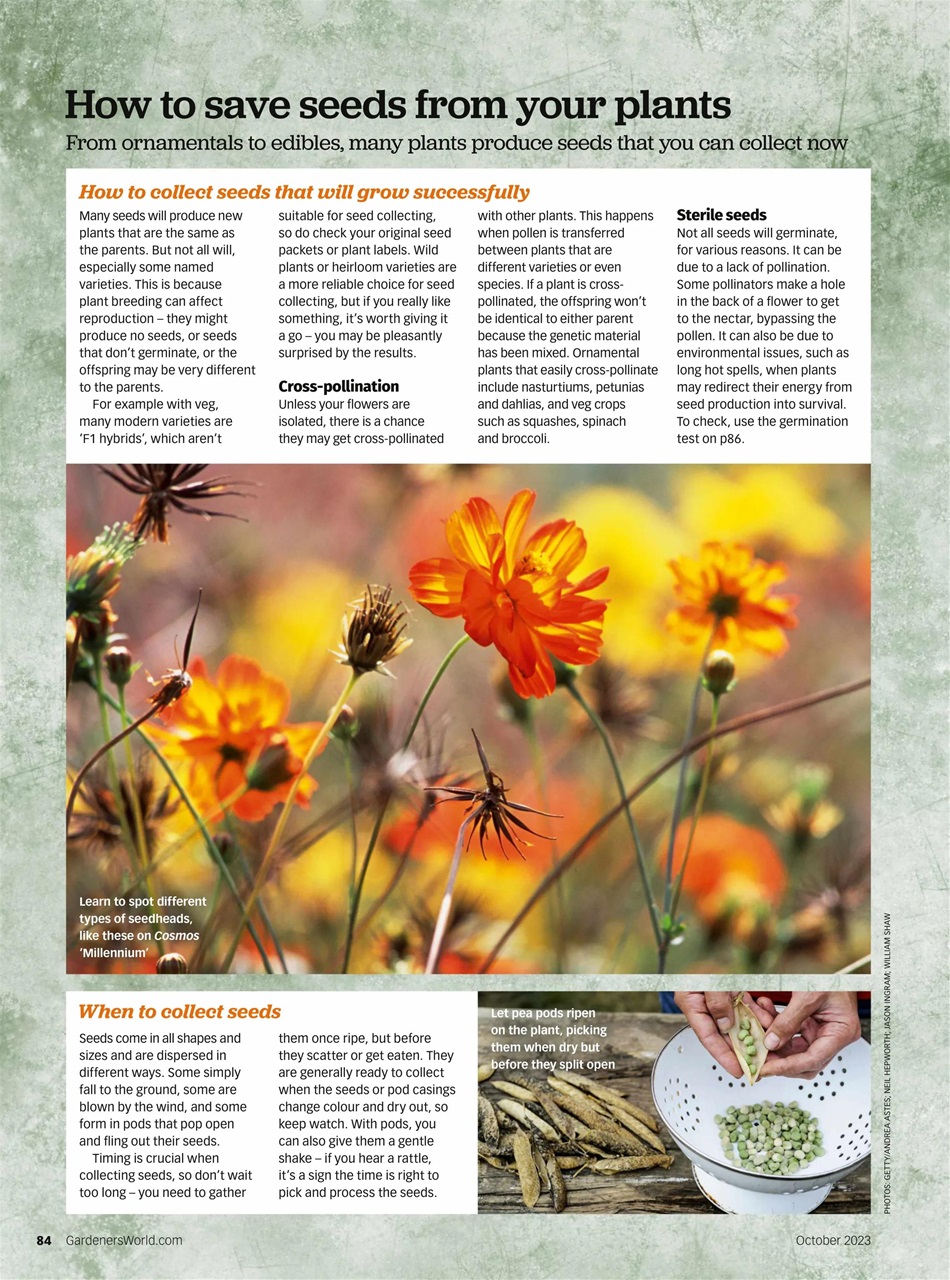 BBC Gardeners’ World Magazine Preview Pages