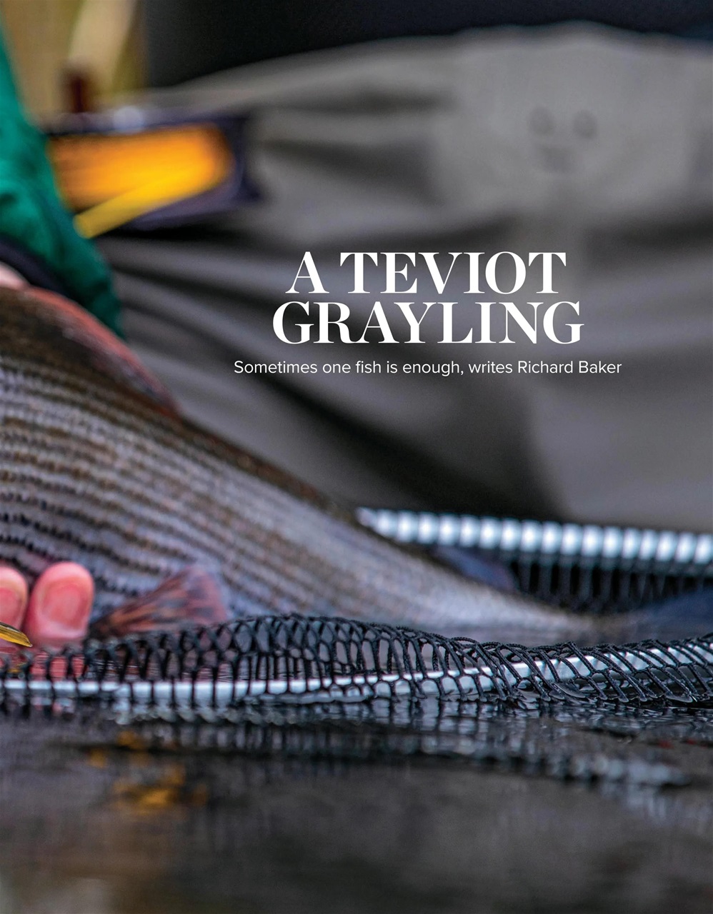 Trout & Salmon Preview Pages