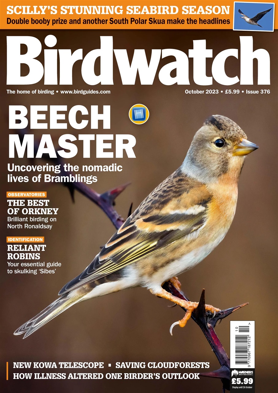 Birdwatch Magazine Preview Pages