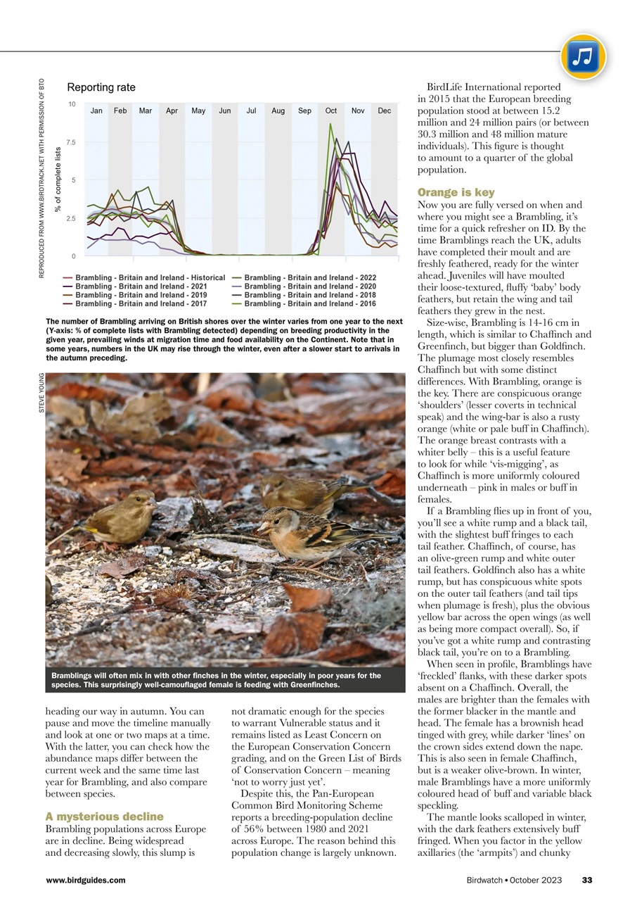 Birdwatch Magazine Preview Pages