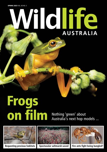 Wildlife Australia issue 