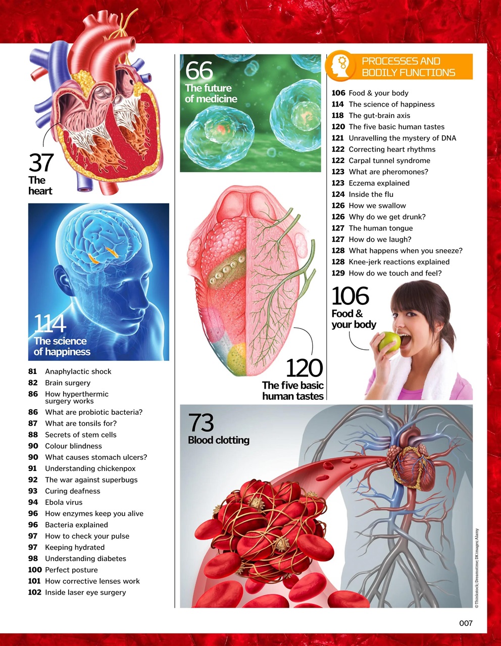 How It Works Bookazine Preview Pages