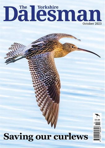 The Yorkshire Dalesman issue October 2023