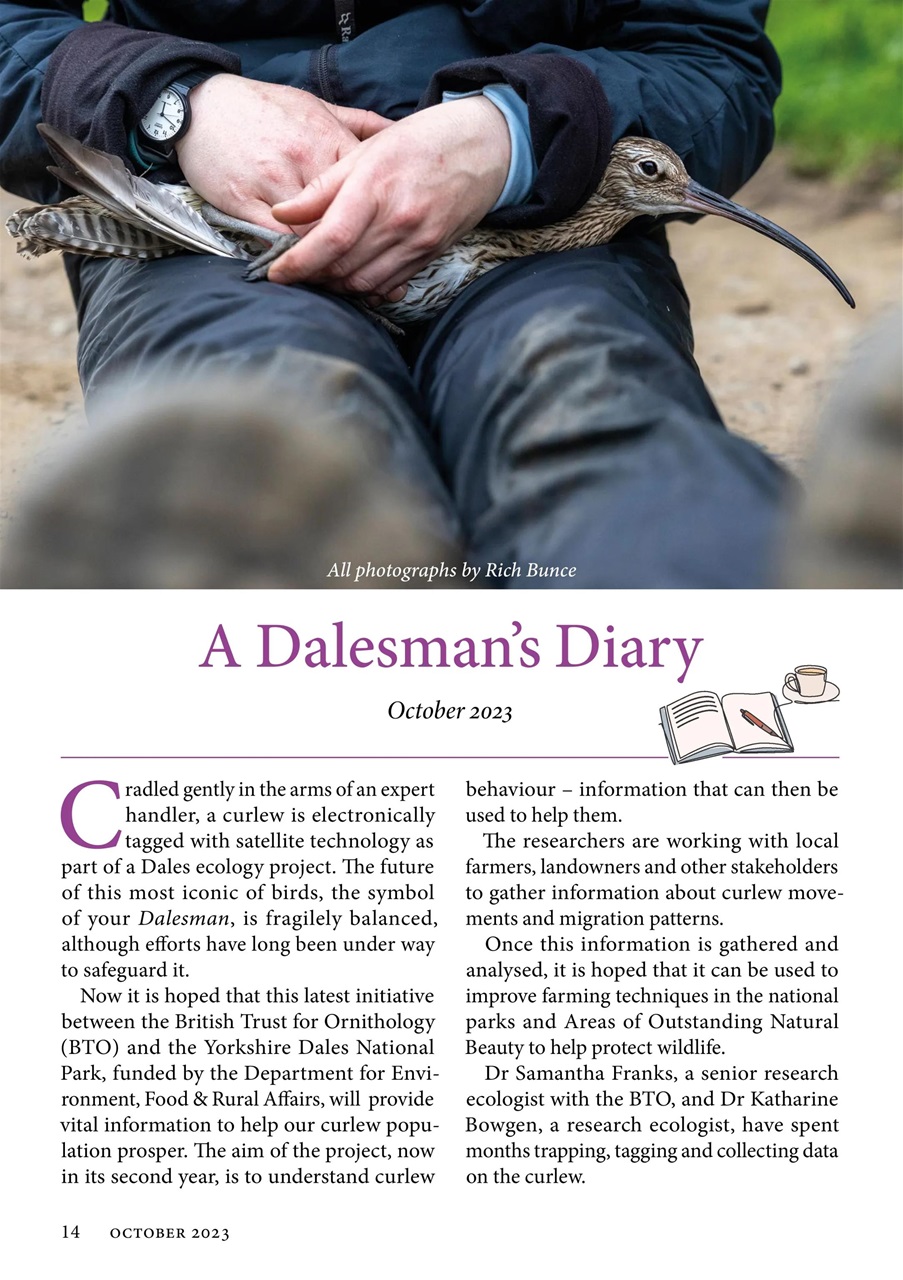 The Yorkshire Dalesman Preview Pages