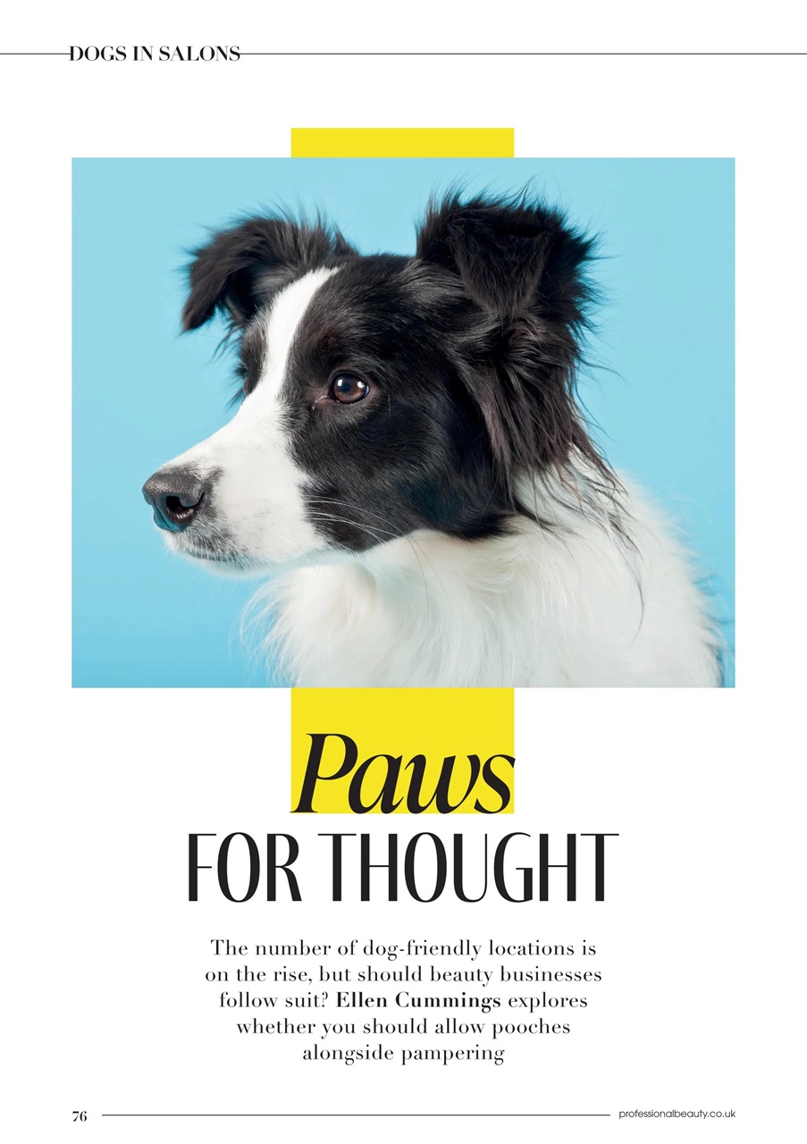 Professional Beauty Preview Pages