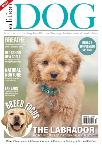 Edition Dog issue Edition Dog Issue 60