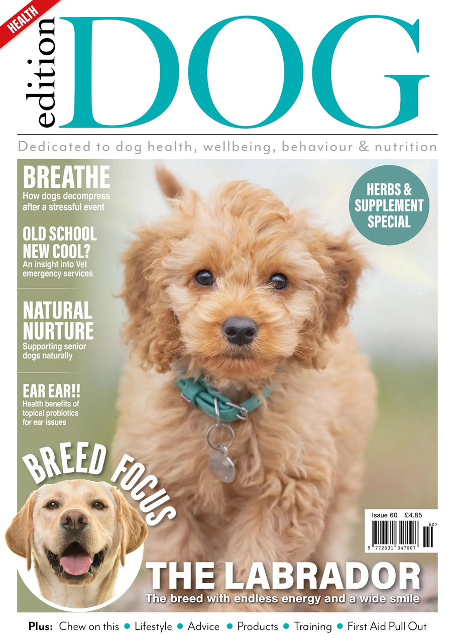 Edition Dog Preview Pages