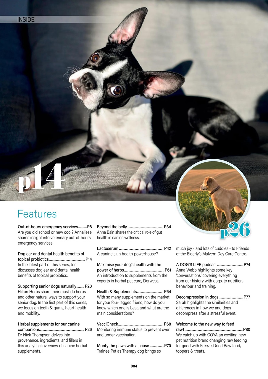 Edition Dog Preview Pages