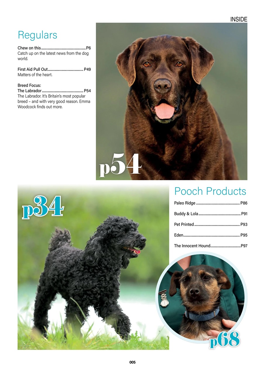 Edition Dog Preview Pages