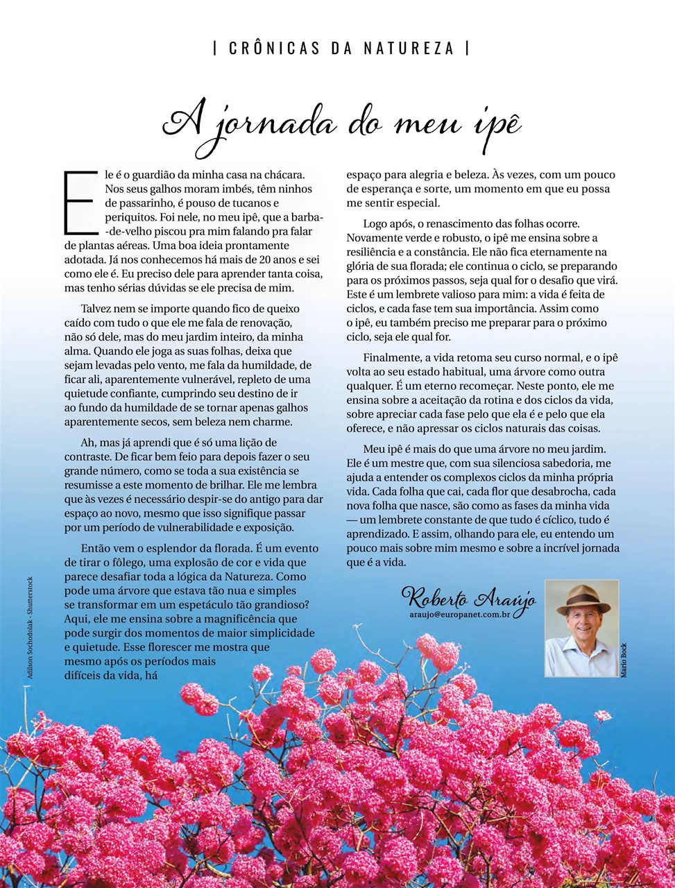 Natureza Preview Pages