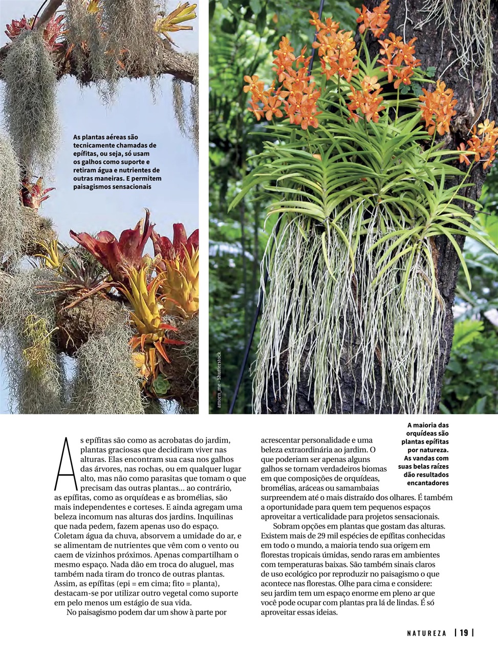Natureza Preview Pages
