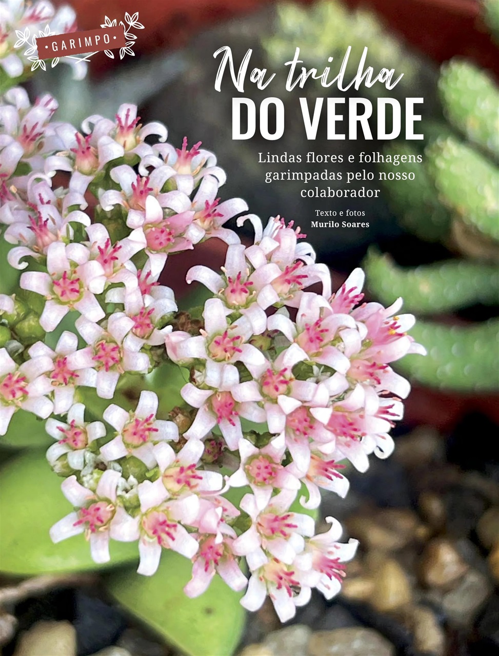 Natureza Preview Pages