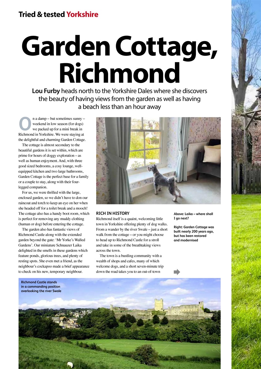 Dog Friendly Preview Pages