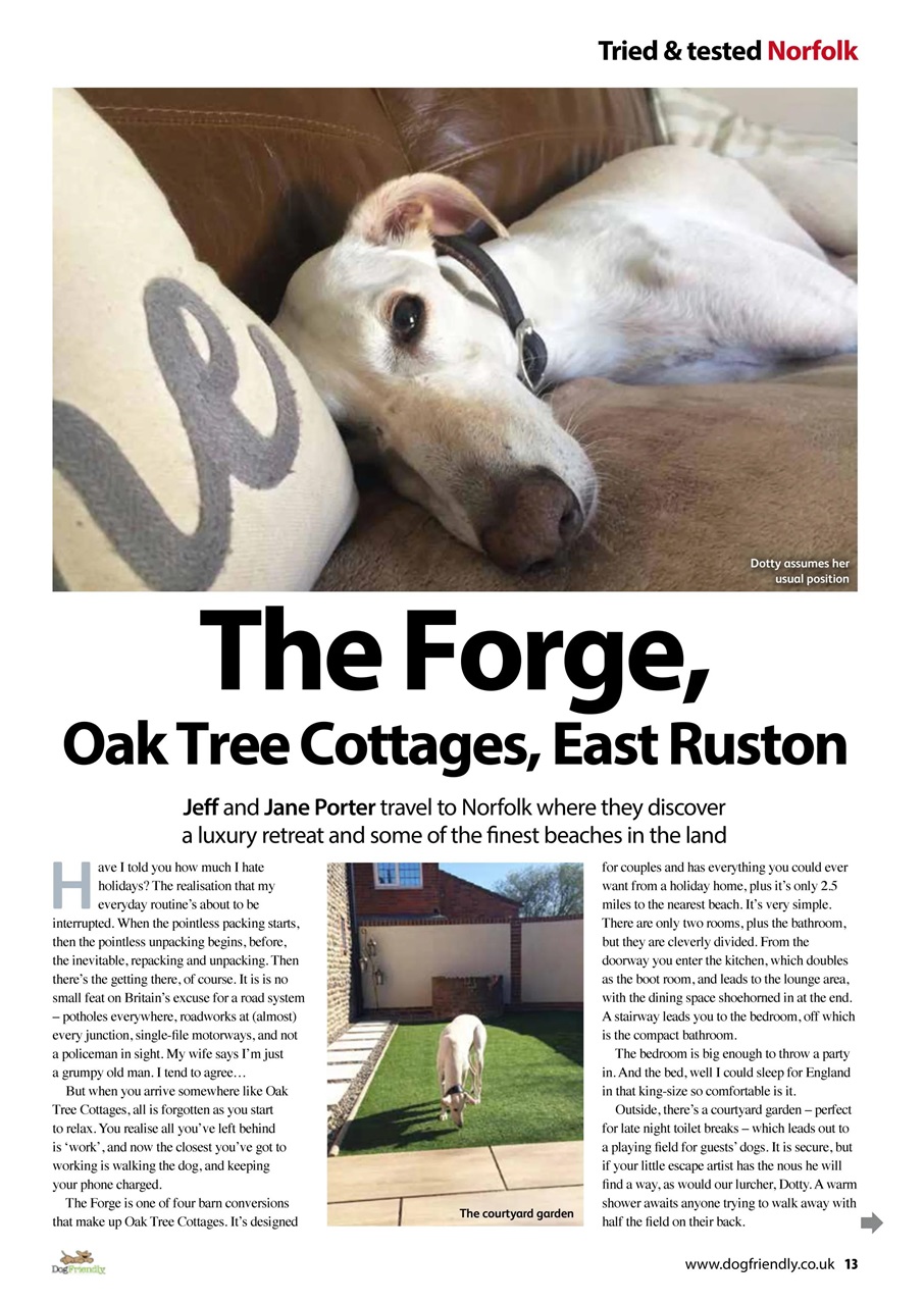 Dog Friendly Preview Pages