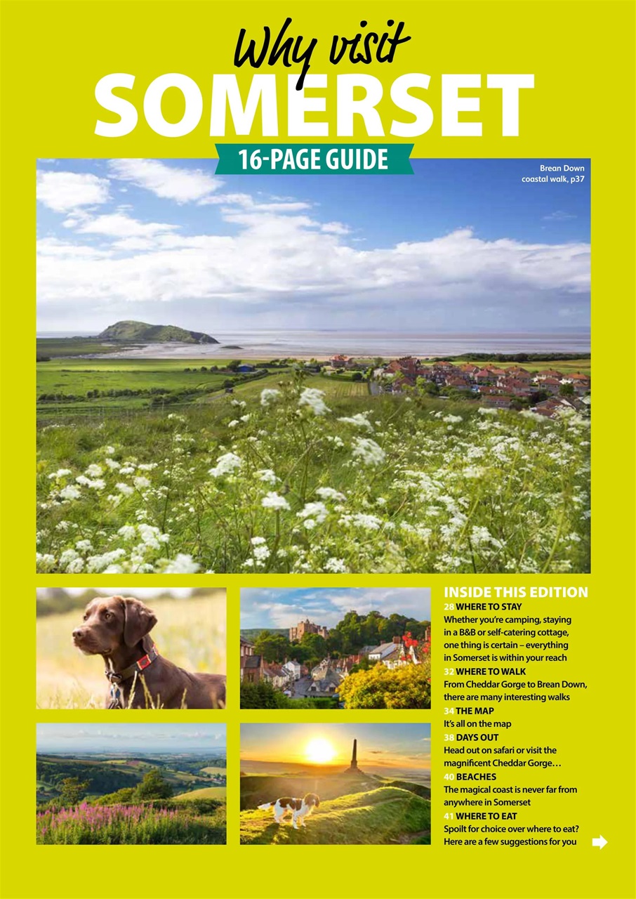 Dog Friendly Preview Pages