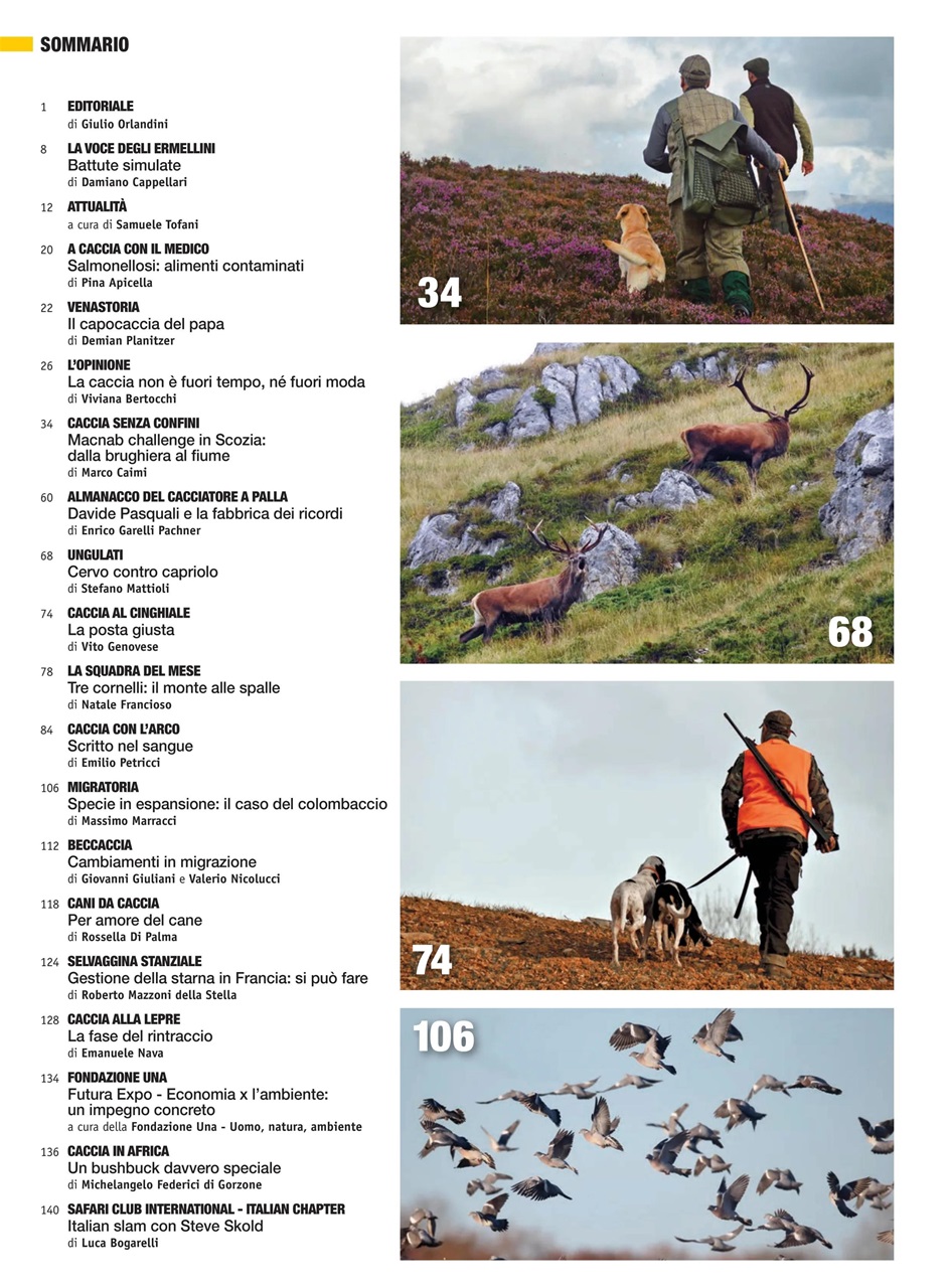 Caccia Magazine Preview Pages