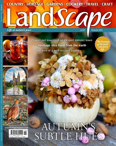 LandScape issue Nov-23