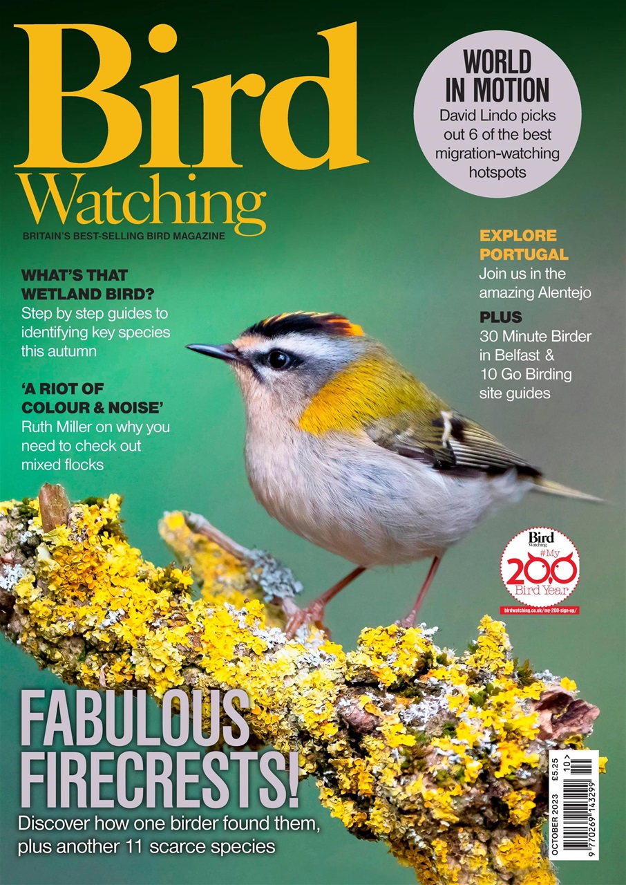 Bird Watching Preview Pages