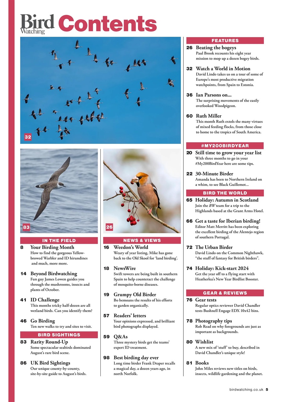 Bird Watching Preview Pages