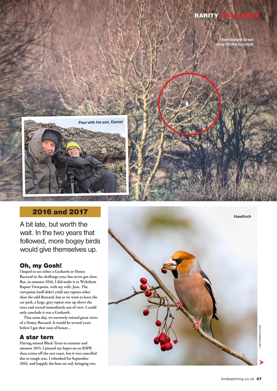 Bird Watching Preview Pages