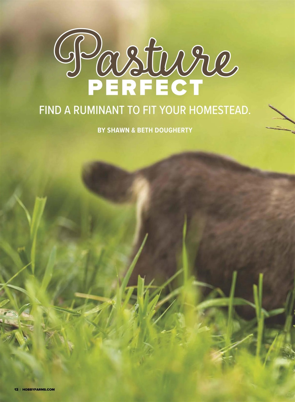 Hobby Farms Magazine Preview Pages