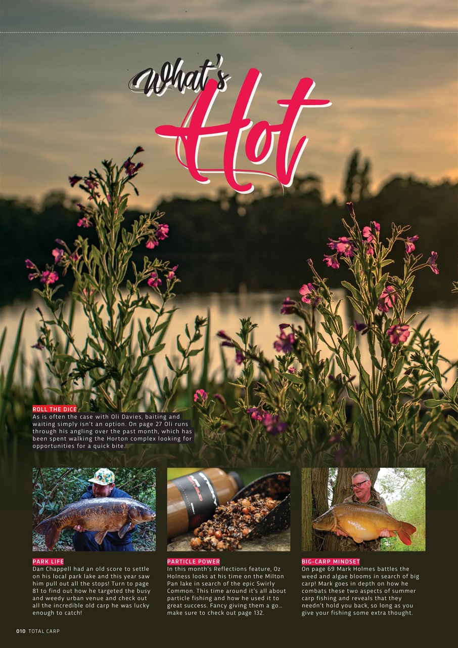 Total Carp Preview Pages