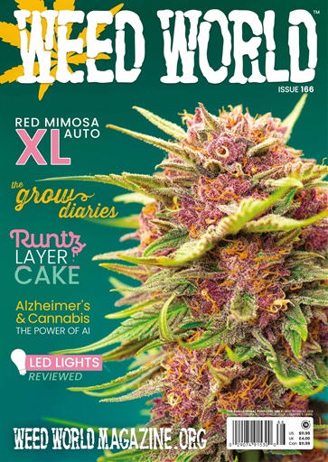 Weed World issue 