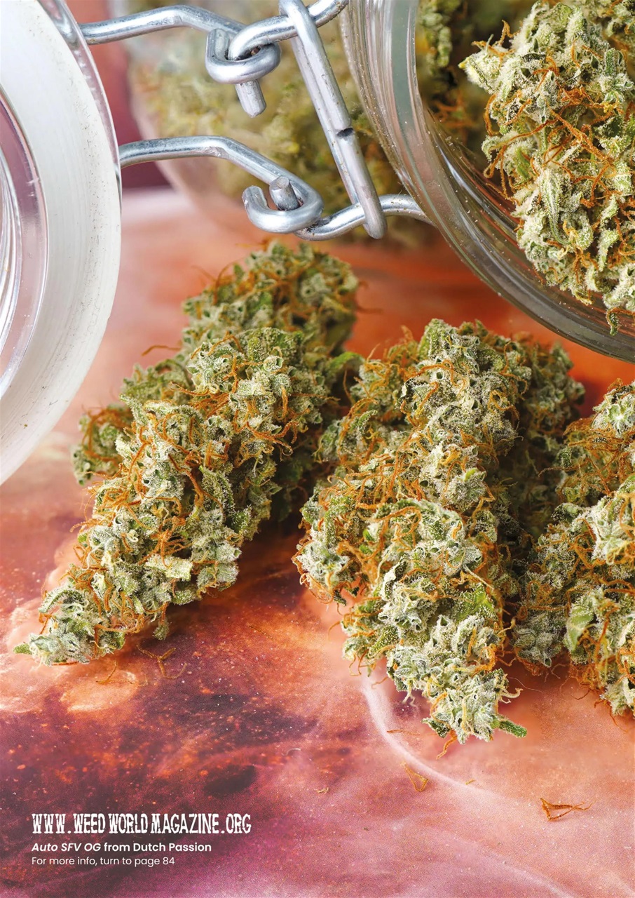 Weed World Preview Pages